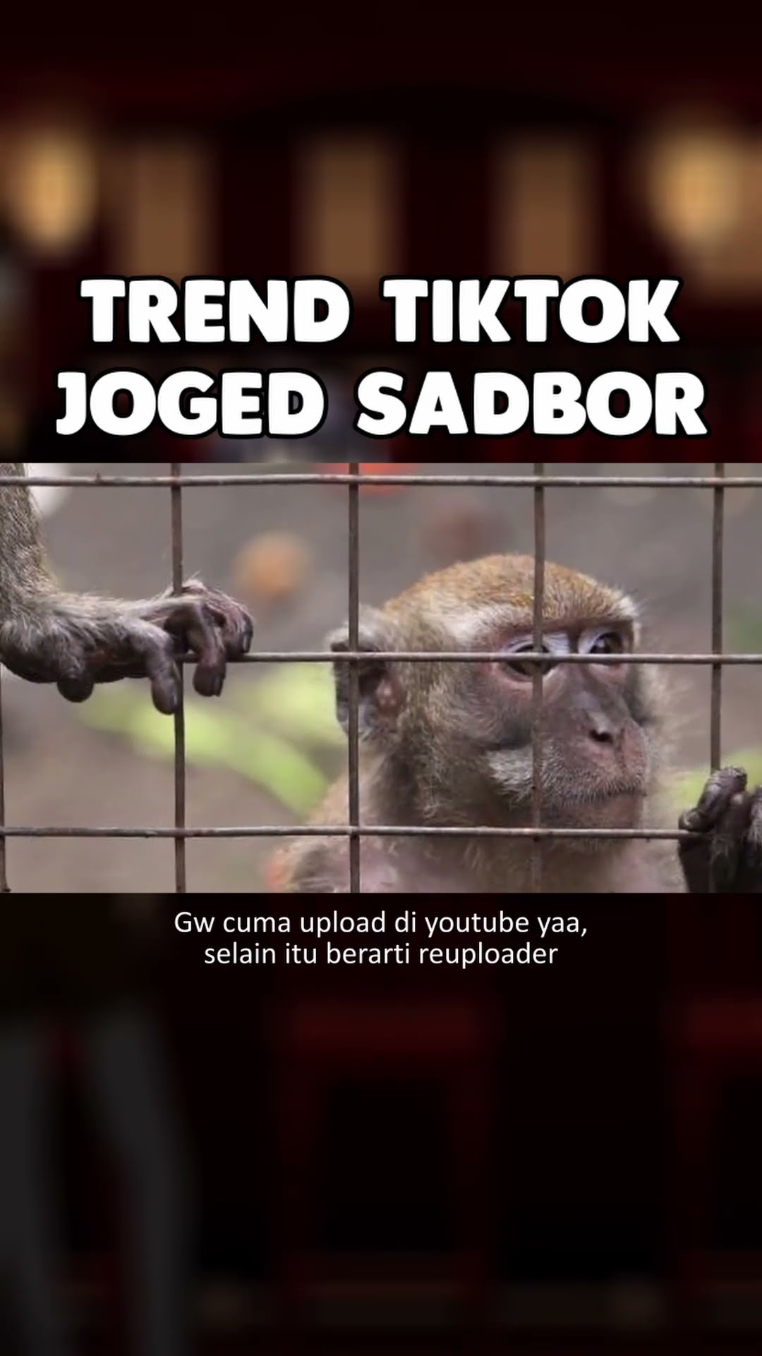 Apalah ini wkwkwkwk